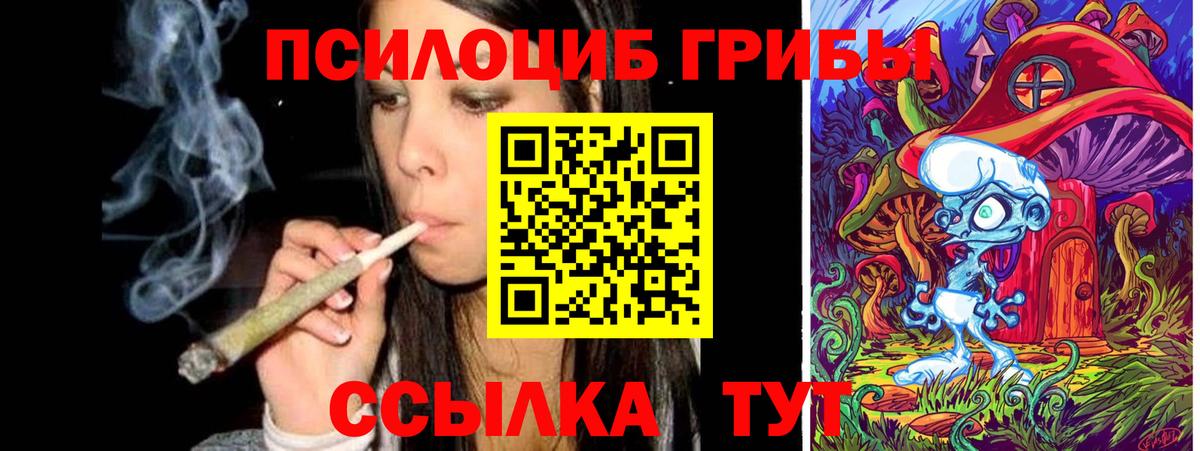 Галлюциногенные грибы Psilocybe Моздок